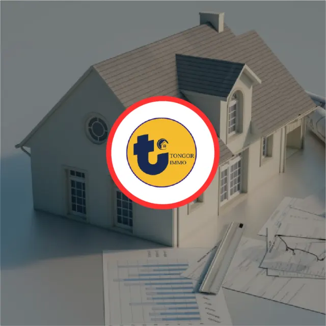 Immobilier